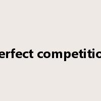 perfect competition是什么意思