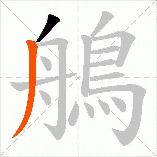 鵃