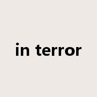in terror是什么意思