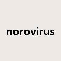 norovirus是什么意思