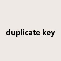 duplicate key是什么意思