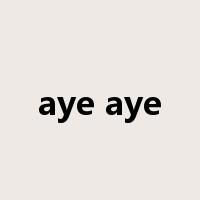 aye aye是什么意思
