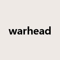 warhead是什么意思