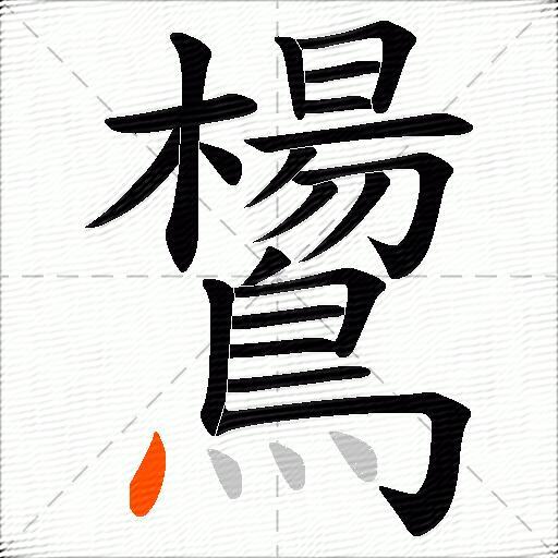鸉