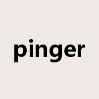 pinger是什么意思