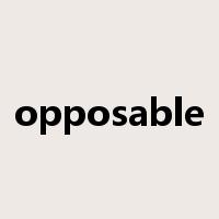 opposable是什么意思
