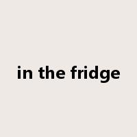 in the fridge是什么意思
