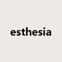 esthesia是什么意思