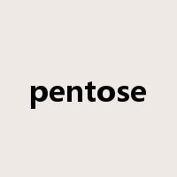 pentose是什么意思