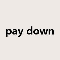 pay down是什么意思