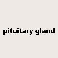 pituitary gland是什么意思