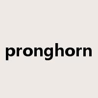 pronghorn是什么意思