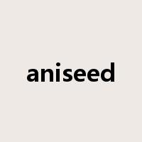 aniseed是什么意思