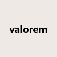 valorem是什么意思