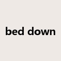 bed down是什么意思