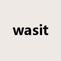 wasit是什么意思