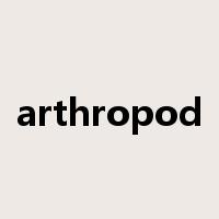 arthropod是什么意思
