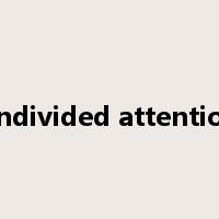 undivided attention是什么意思