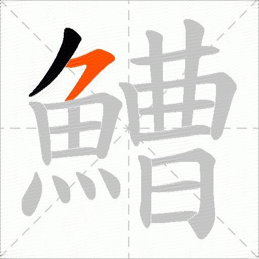 鰽