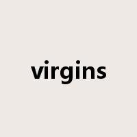 virgins是什么意思