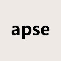 apse是什么意思