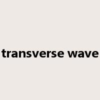 transverse wave是什么意思
