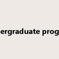 undergraduate program是什么意思