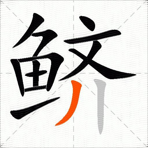 鲚