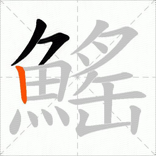 鰩