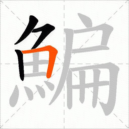 鯿