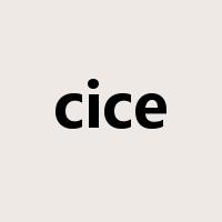 cice是什么意思