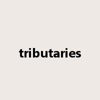 tributaries是什么意思