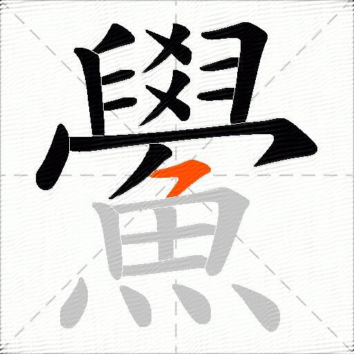 鱟