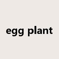 egg plant是什么意思