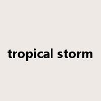 tropical storm是什么意思