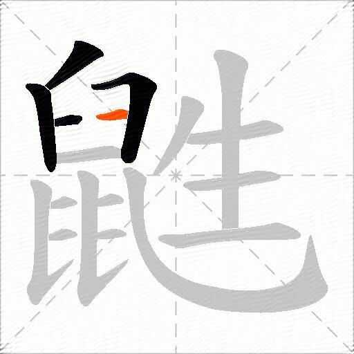 鼪