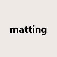 matting是什么意思