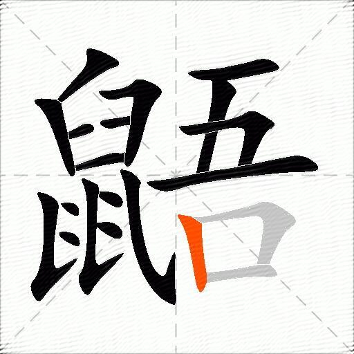 鼯