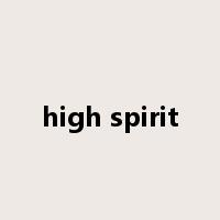 high spirit是什么意思