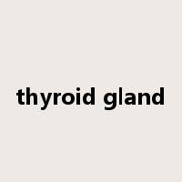thyroid gland是什么意思