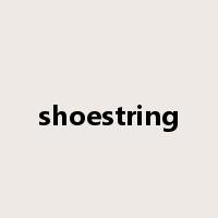 shoestring是什么意思