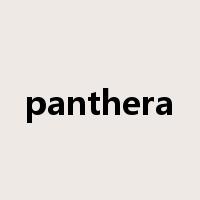 panthera是什么意思