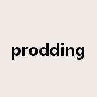 prodding是什么意思