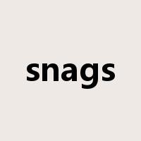snags是什么意思