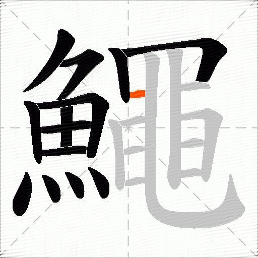 鱦