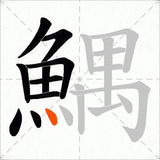 鰅