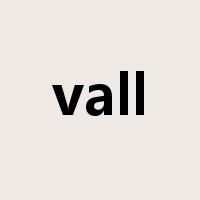vall是什么意思
