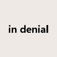 in denial是什么意思