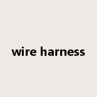 wire harness是什么意思