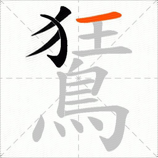 鵟